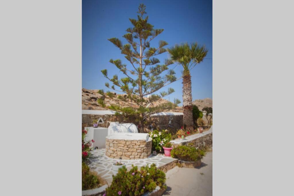 White Dreams Studio Mykonos Town Kültér fotó